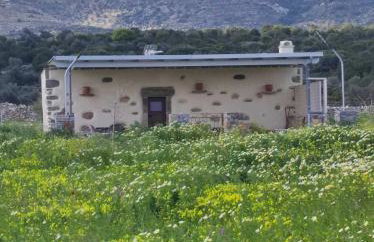 Mitatos "Matthew" - Foto 48