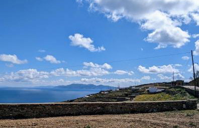 Under The Palm Tree Boutique Studios - Foto 1