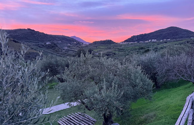 Agrolea Rodí Milici - Photo 55