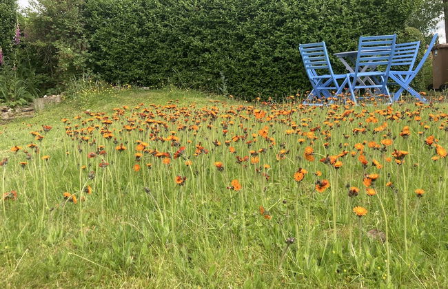 Capella Cottage, 2 Bedroom, Sleeps 4 - Photo 17