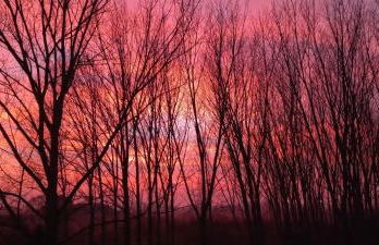 CORTE STELLATA Il Grano Lodging - Foto 42