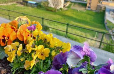 casa vacanza da ghislin - Foto 33