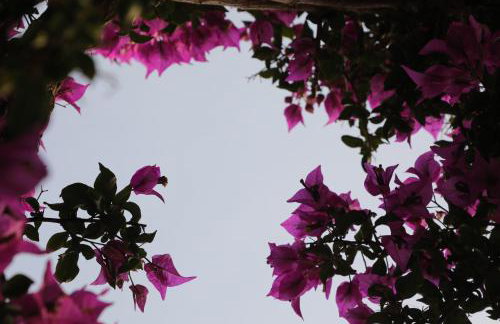 Panormos Apartments - Foto 48