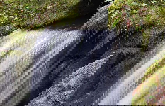 WC Oceanside Inn - Foto 19