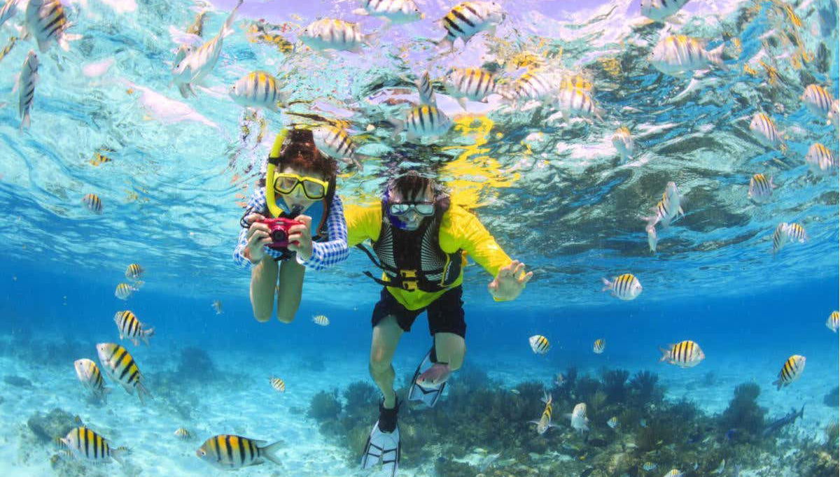 Maafushi Dolphin Watching and Snorkelling Half Day Tour - Foto 1