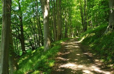 Naturpur die Wellnessoase - Foto 17