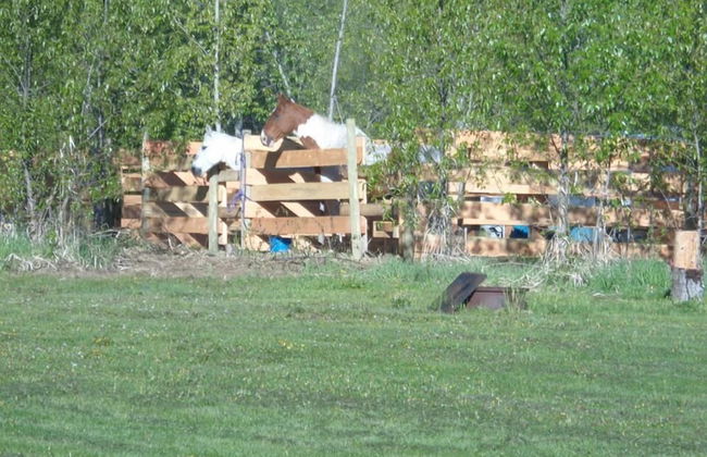 Wells Gray Golf resort and RV park - Foto 28