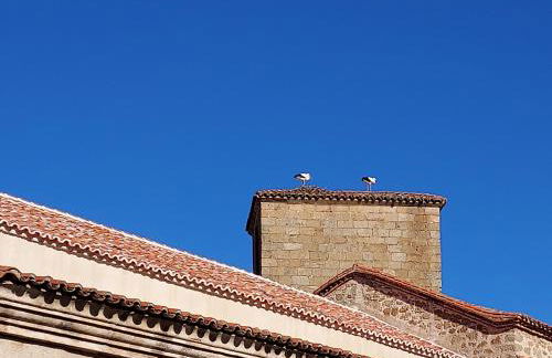 RUA ZAPATERIA 10 PLASENCIA - Foto 26