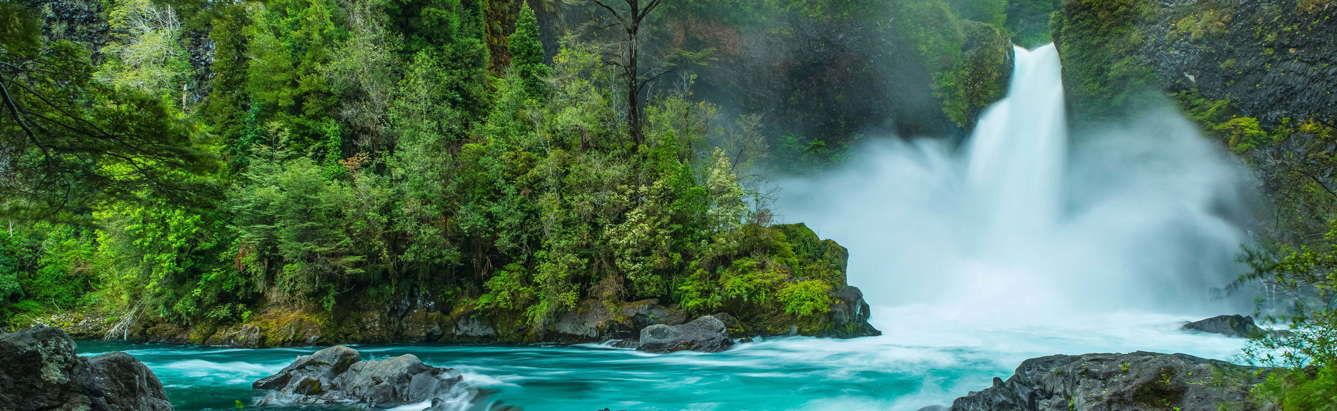 Excursion à la Réserve de Huilo Huilo - Photo 1, Excursion à la Réserve de Huilo Huilo