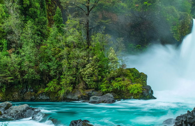 Excursión a la Reserva Huilo Huilo - Foto 2