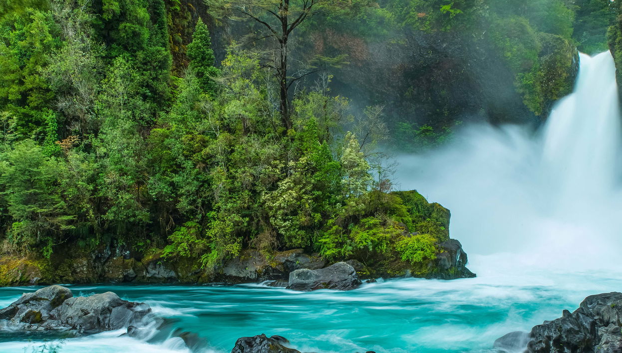 Excursión a la Reserva Huilo Huilo