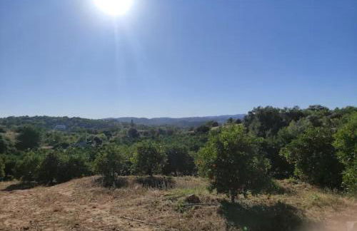 Monte da Bisa - Tavira - Foto 25