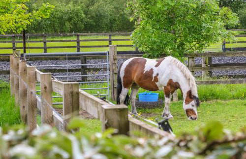 Barn Owl Cottage At Crook Hall Farm - Foto 25