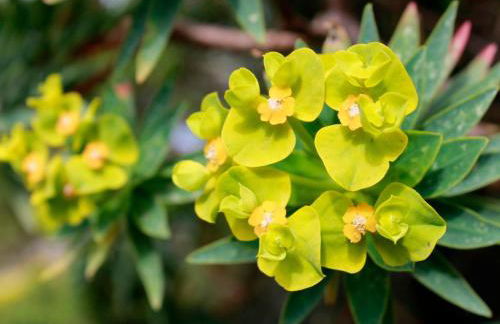 Holiday Home Stazzo mit Garten in Luogosanto by Interhome - Foto 39