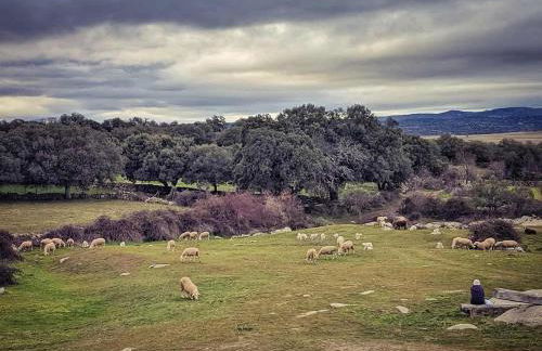 La Candileja - Foto 34