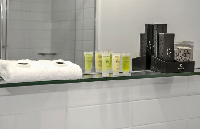 Pegasus Apart'Hotel - Foto 56