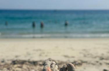 Les Villas Majolie - Villa 2 L'île - 5 étoiles - Foto 65