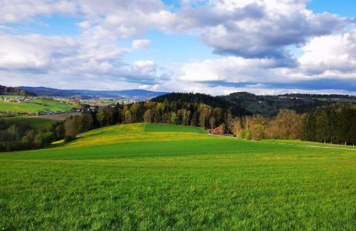 Ferienwohnung am Woid - herrliche Alleinlage - vegane Einrichtung - Foto 26