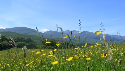 Bothan a' Bhile - Foto 3