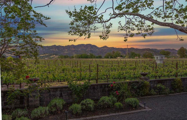 French Provencal Chateau in the Heart of Napa - Foto 20