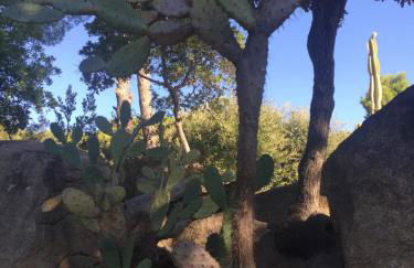 Casa Feliz - Foto 18