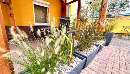 Ferienunterkünfte Familie Berger - Foto 5