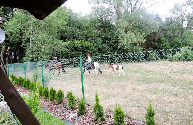 Cottage With a Fenced Garden, Kolczewo - Foto 21