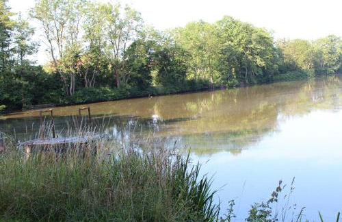 Seebach Vermietung - Foto 14