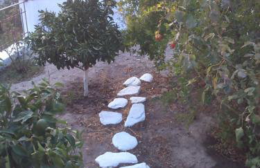 Unique breathtaking seaview house - Foto 55