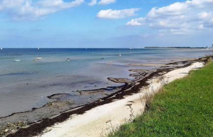 Ferienwohnung-Ostseestrand-in-Stein-bei-Laboe - Foto 15