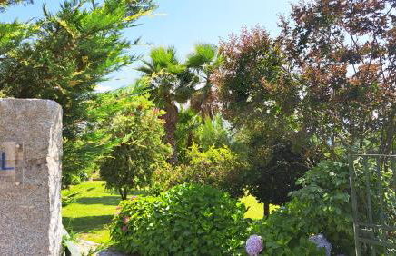 Casa Pinho - Foto 31