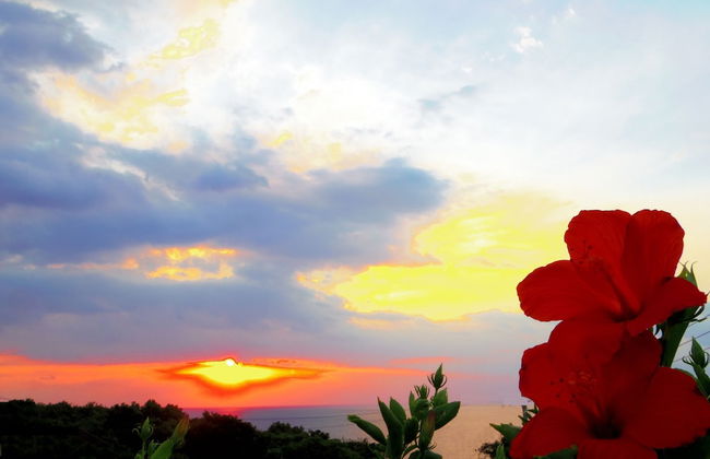 Yakushima Cottage Morino Fairy - Photo 39