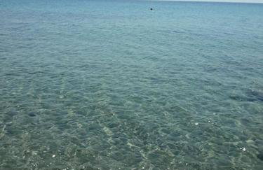 Seaside Villa in Chalkidiki - Foto 40