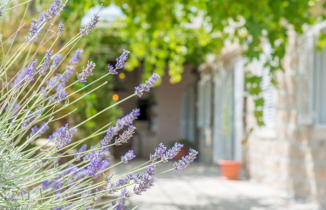 Midsummer Night's Dream - Foto 15