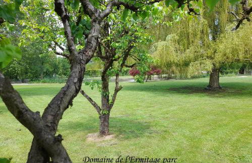 Domaine de l'Ermitage - Foto 39