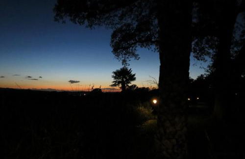 Podere La Branda - Foto 74