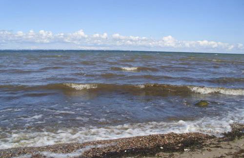 Apartment Studio am Rande eines Naturschutzgebietes by Interhome - Photo 30