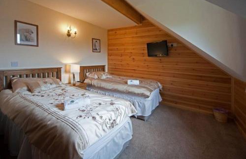 Beech Tree Eco Lodge - Foto 11
