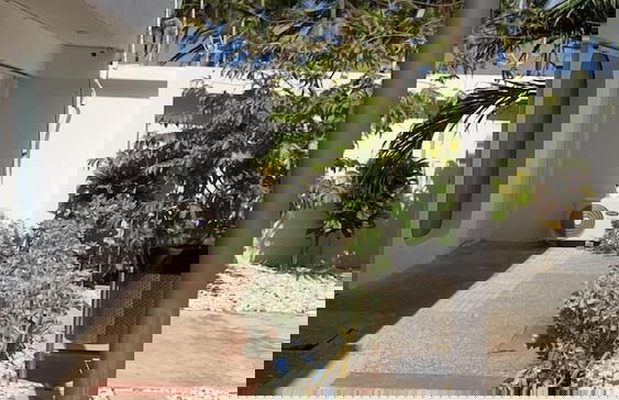 San Andres CC Apartments near the beach - Foto 20