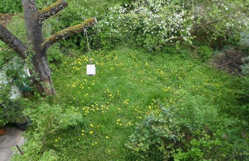 Ruhige 4-Zi-Wohnung mit großem Balkon und Blick ins Grüne - Foto 17