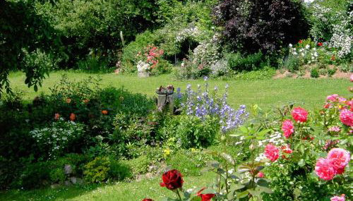 Landhaus Wildfeuer - Foto 2, Garden