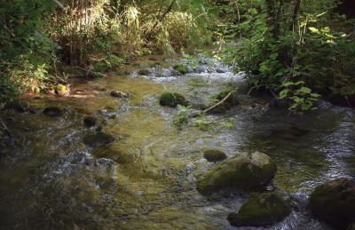 Loft Rural El Pajar del Molino - Foto 30