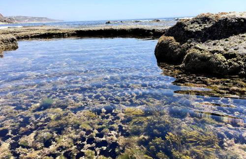 House in the historic area of Lourinhã - Foto 35