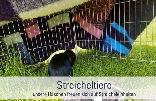 Bauernhof Finkel - Ferienwohnungen mit Balkon - Bergsicht - Traktor mitfahren - Tiere streicheln - entspannter Familienurlaub - zentrale Lage nahe Oberstdorf - Photo 61