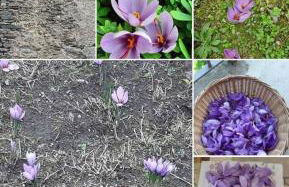 Tra Lago Maggiore e lago d'Orta Appartamento FUOCO - Foto 39