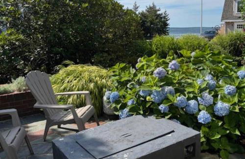 The Dragonfly - Planting Island - Photo 42