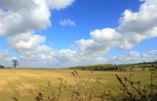 Parrs cottage - Foto 5