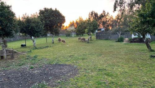 Quinta da nogueira - Foto 4