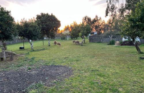 Quinta da nogueira - Foto 4