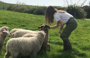 Bunnahabhain 5 - Farm Stay - Stunning sea and rural views - Photo 38